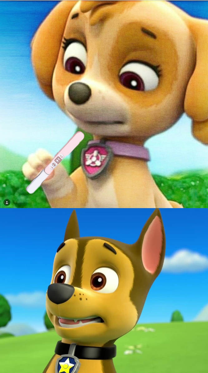 Paw Patrol Skye Paw Patrol Skye