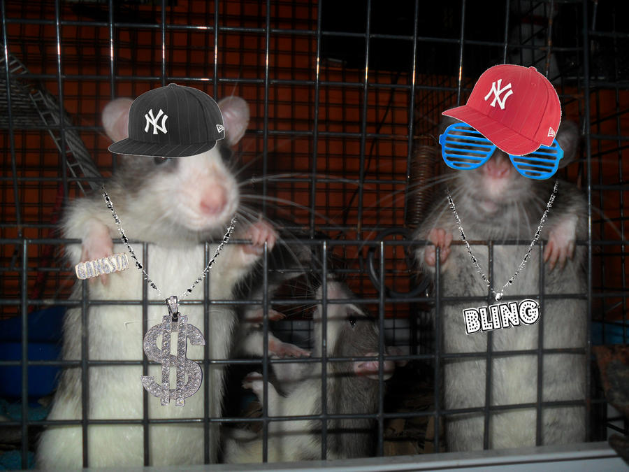 Gangsta Rats by Ulla-Andy on DeviantArt