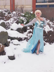 Elsa from Frozen Cosplay 6