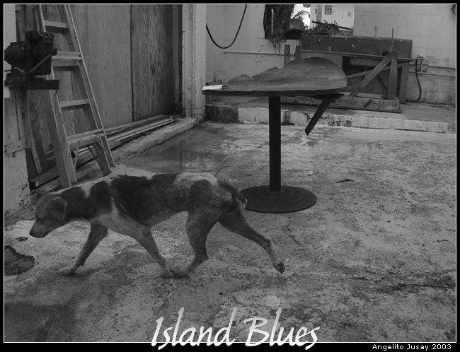 Island Blues