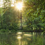 Stadtpark Teich