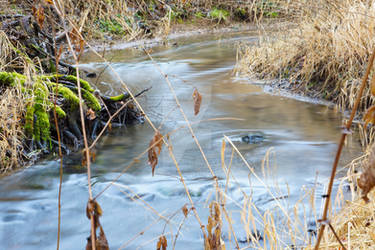 Flussbett_01.03.2025