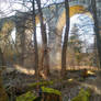 Rural Collection/Syratal 2
