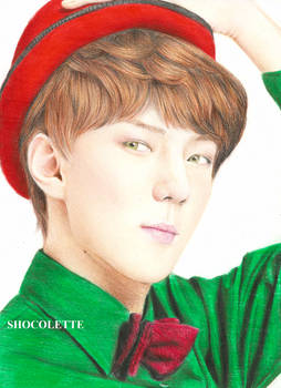 Miraculous Sehun