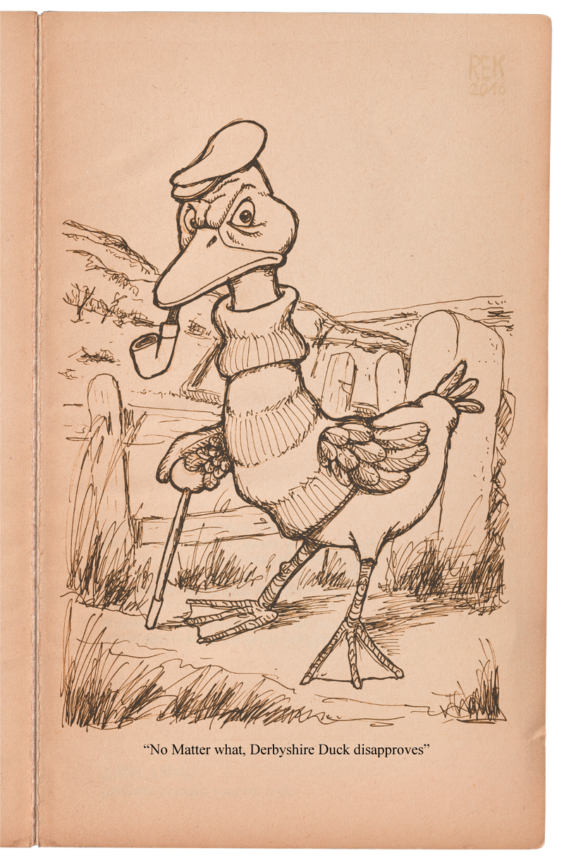 071: Derbyshire Duck
