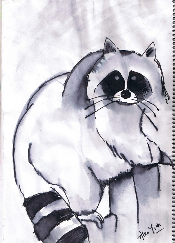The Racoon by bearbearyick on DeviantArt