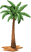 Palm