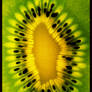 Kiwifruit I