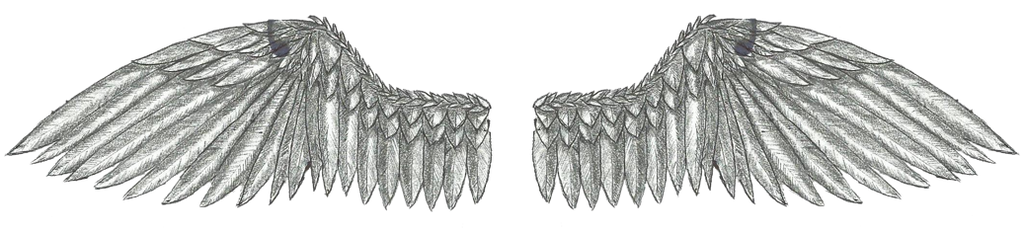 Lucy Fairy User Profile Deviantart