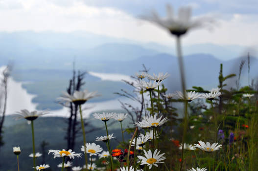 Adirondacks,NY