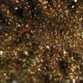 Gold Glitter 2