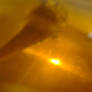 Orange Glow