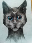 GIFT: Kitty~ by Nautileen