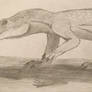 Kohlosuchus angustidens