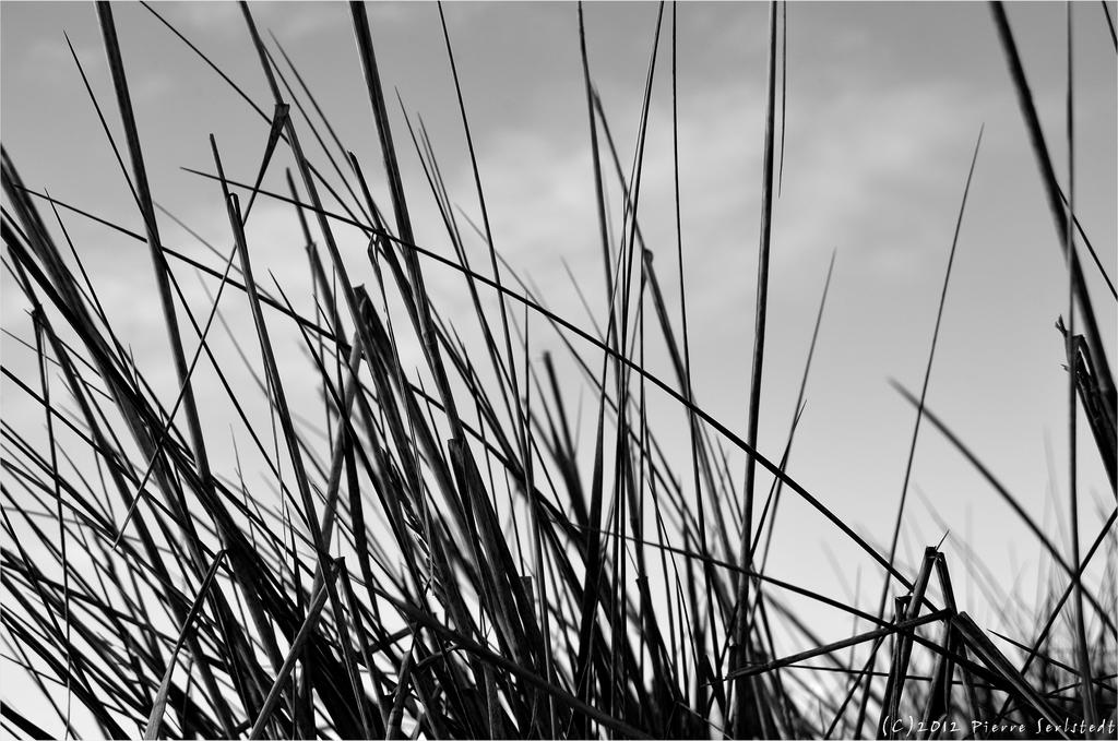 No colors! by secludedspace on DeviantArt