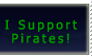 Pirate support