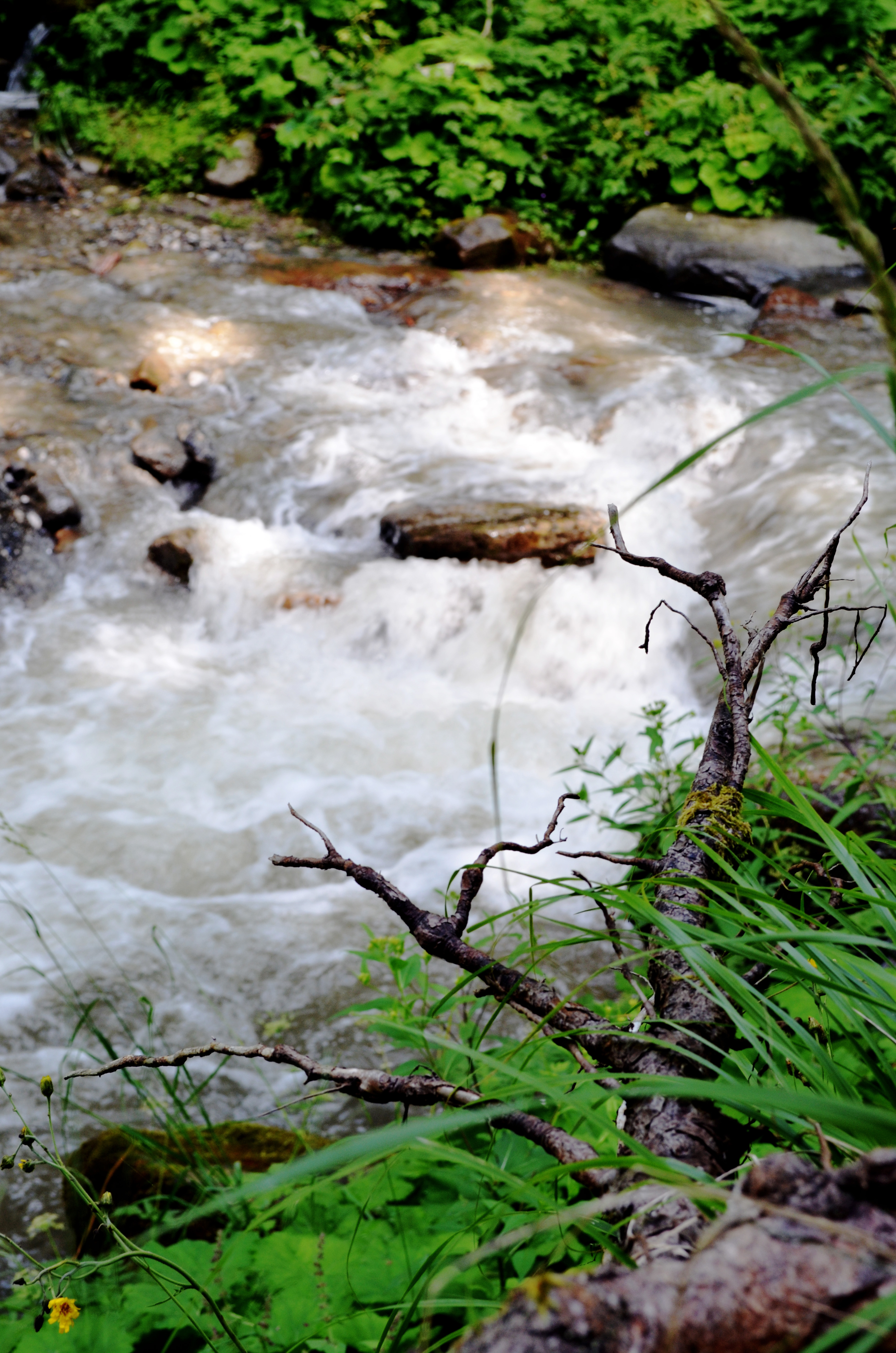 Mill Hiking Path