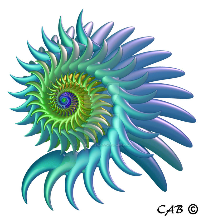 Cilium by antarctica246 Cilium by antarctica246