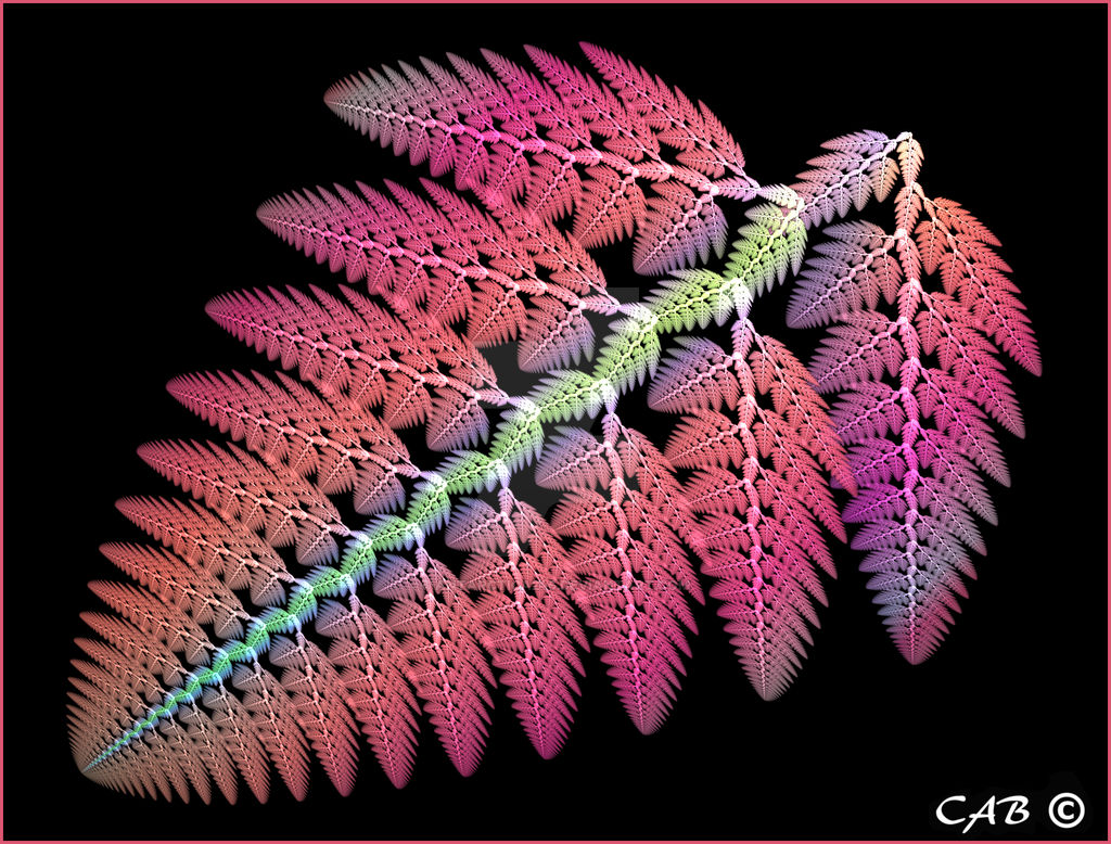 Summer Fern by antarctica246 Summer Fern by antarctica246