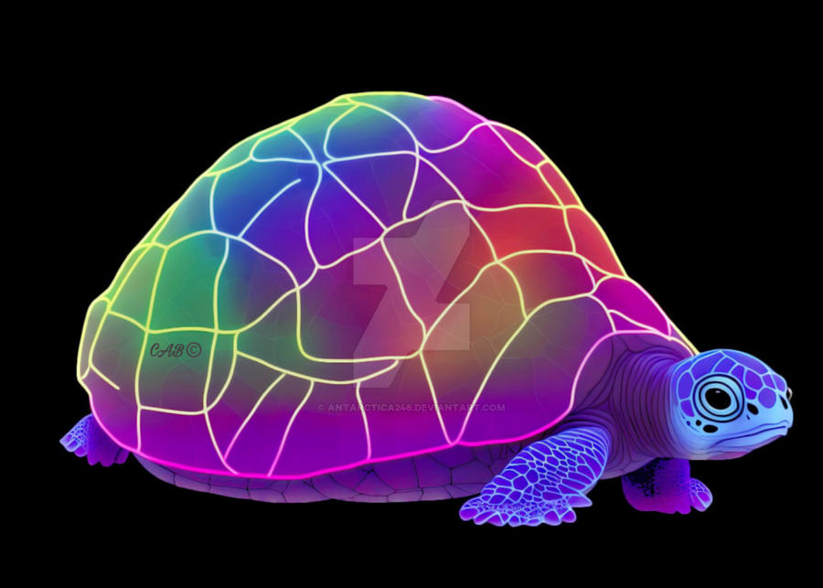Neon Turtle by antarctica246 on DeviantArt