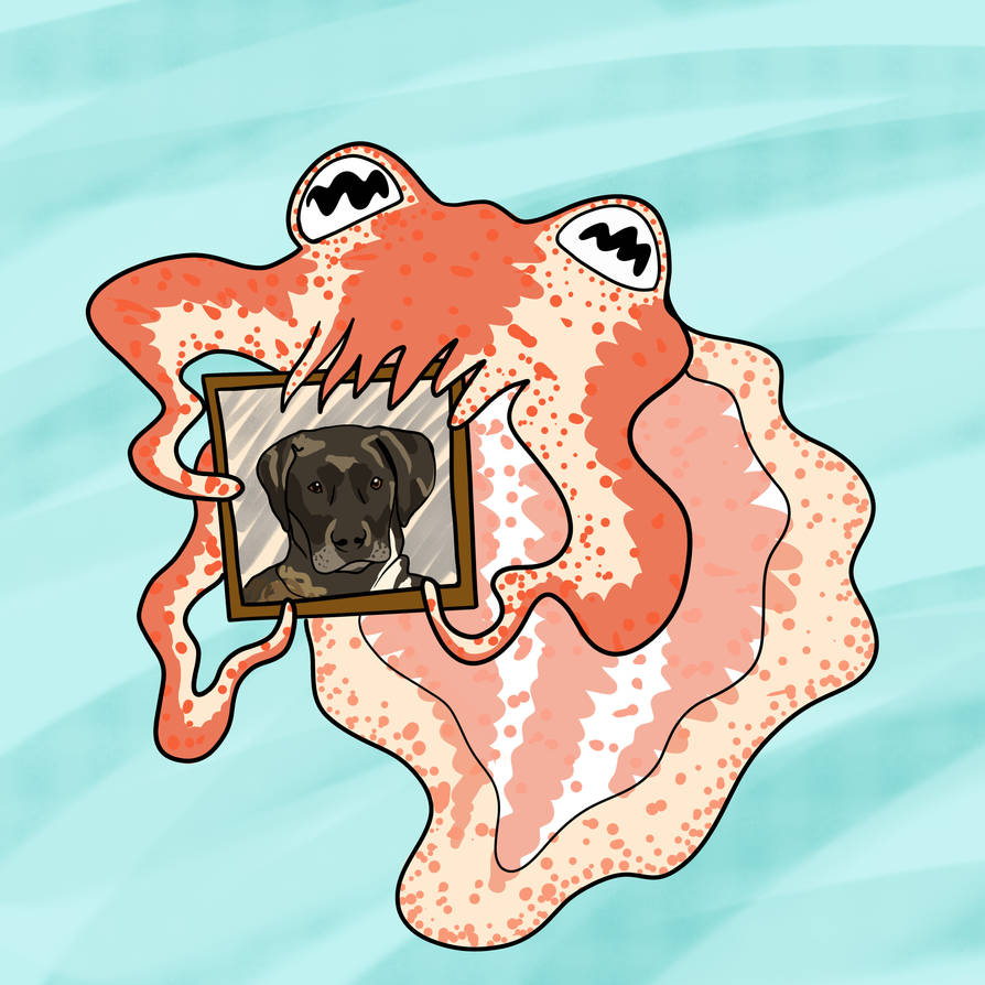 Cuddlefish by LyraDusk on DeviantArt