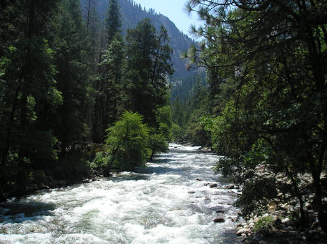 yosemite NP