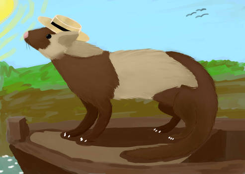 Kaex's art competition - Arthur the ferret