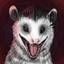 Possum smiles