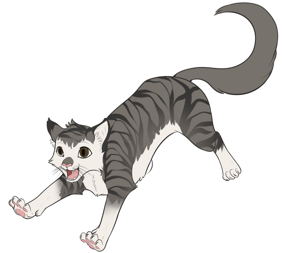 Cartoon Cat by Dragoart on DeviantArt