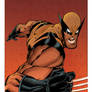 Wolverine color