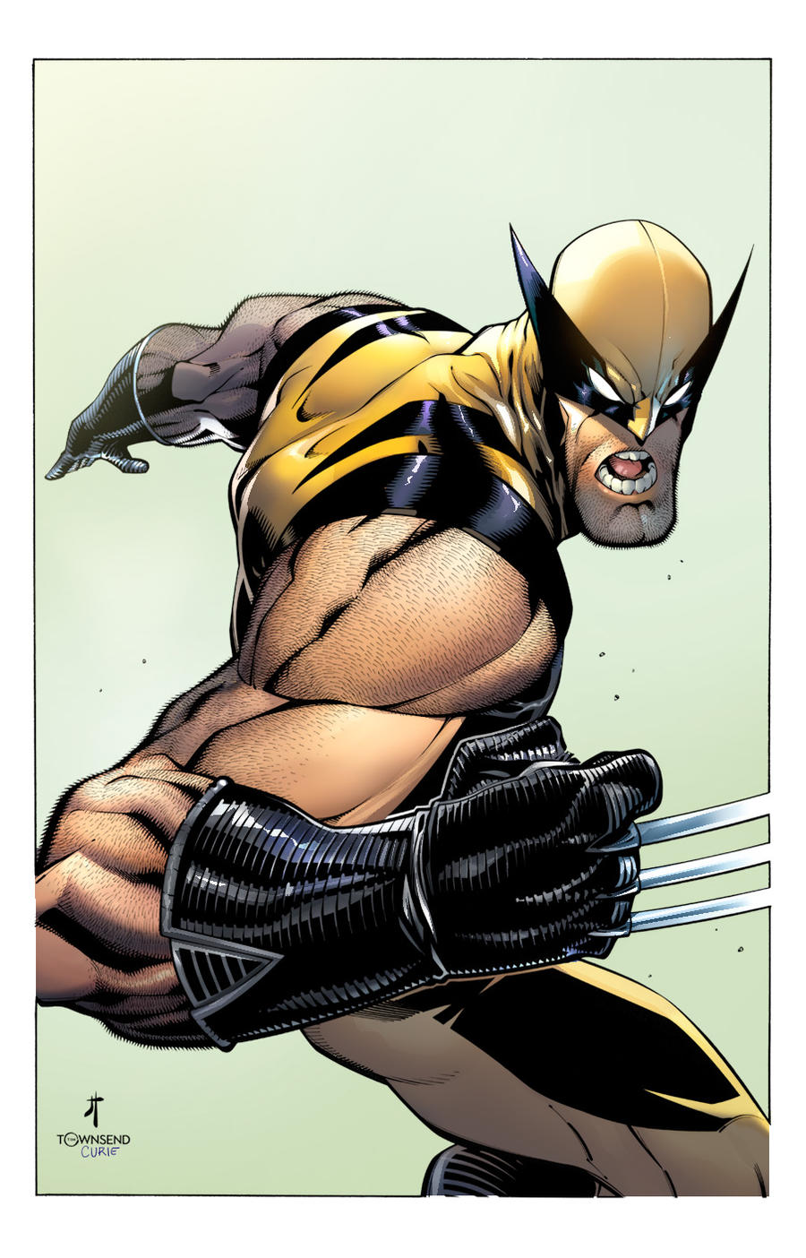 Wolverine colors by JohnTimms on DeviantArt