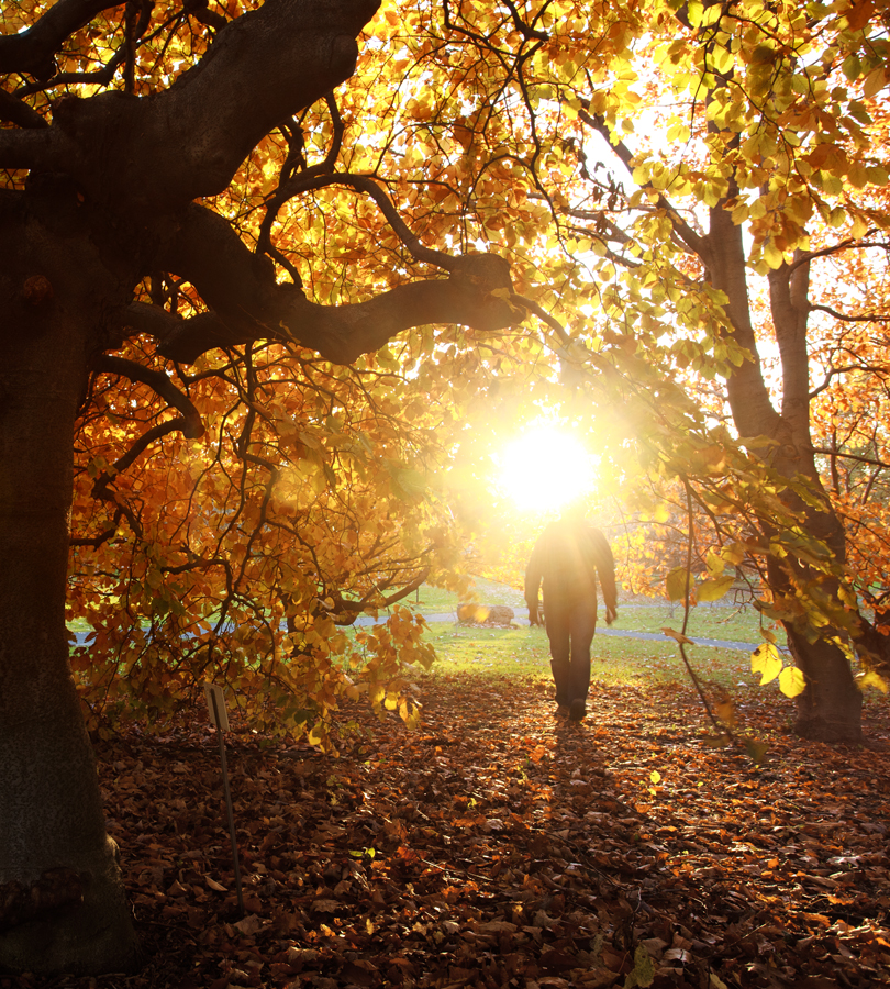 Walking Sun