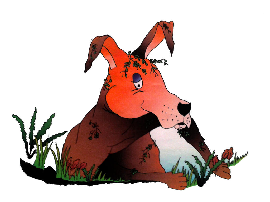 Mr Roo by Wivale on DeviantArt