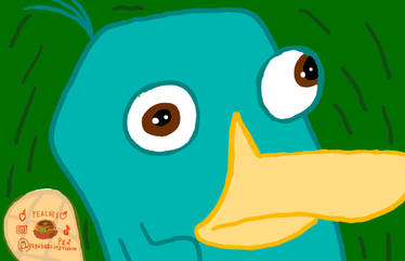 Perry The Platypus first attempt in my life!!!MERP