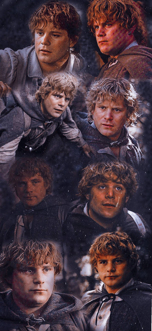 Samwise Gamgee wallpaper by ShiningJediKnight on DeviantArt