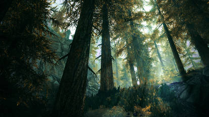 Deep in The Woods - Skyrim