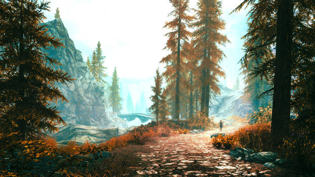 Red Forest - Skyrim