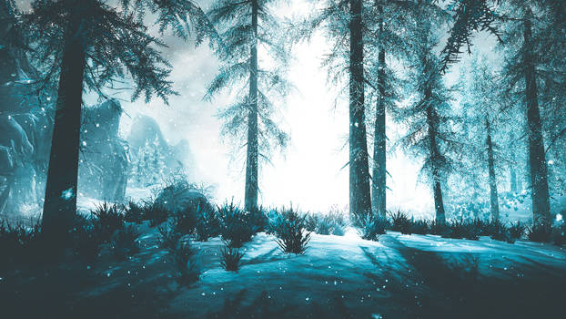 Snowfall - Skyrim