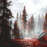Blood Forest - Skyrim