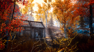 Or, Life in the Woods. - Skyrim