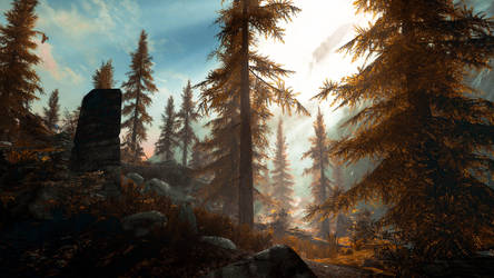 Dans Les Bois - Skyrim