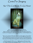 Cents For Surgery Flyer: Help Iso Go Home! by WolfHaunt