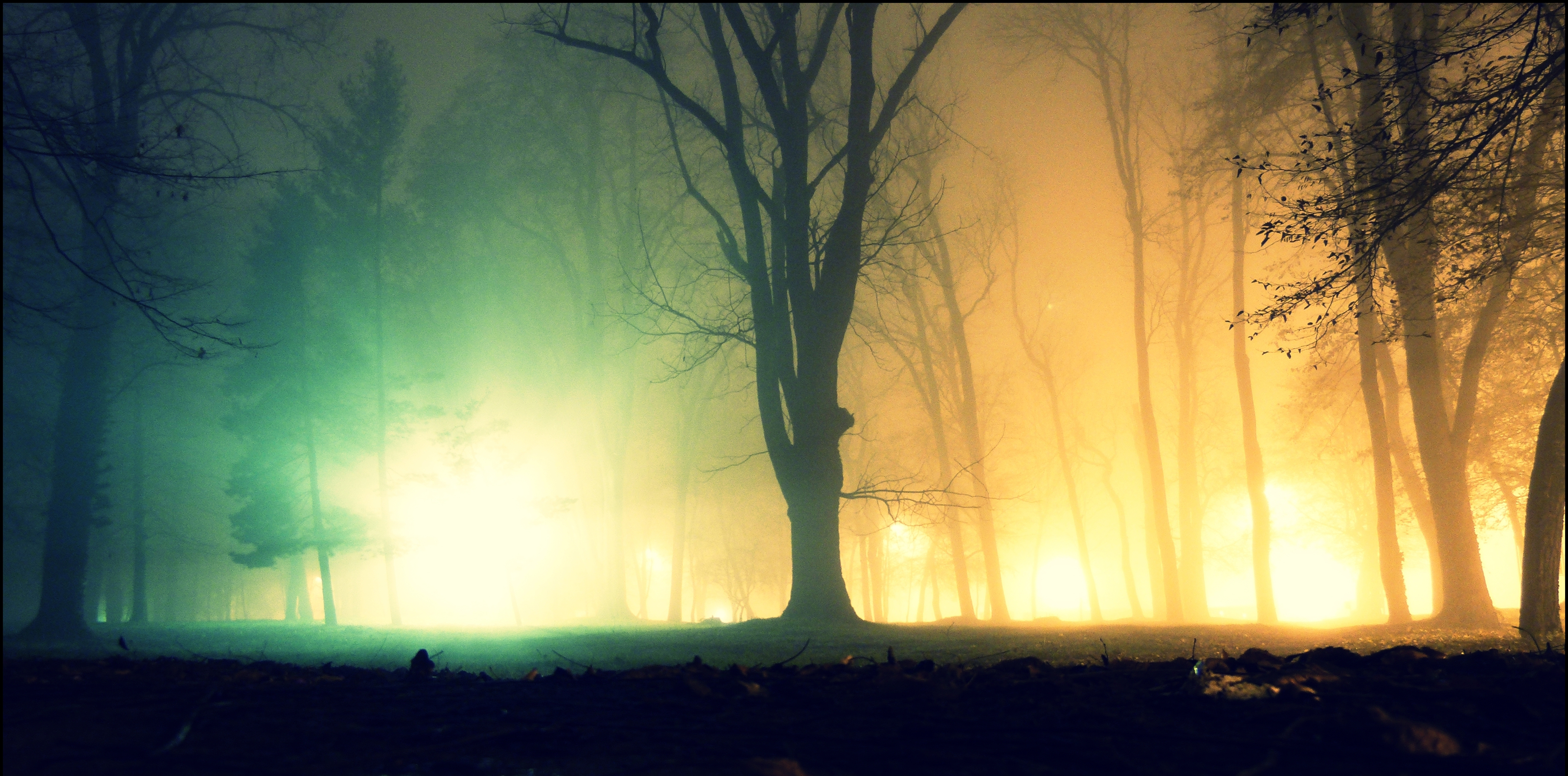 Fog In The Park - Shot In Color #