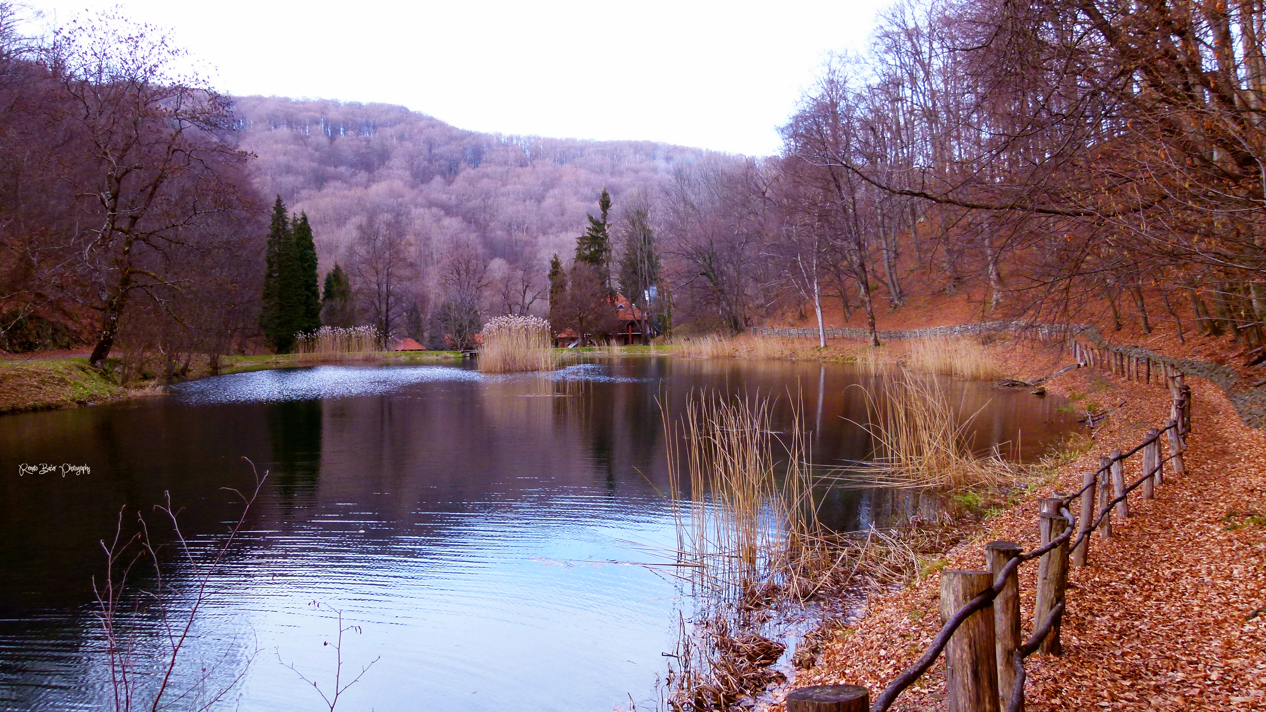 Lake - Spring in Winter