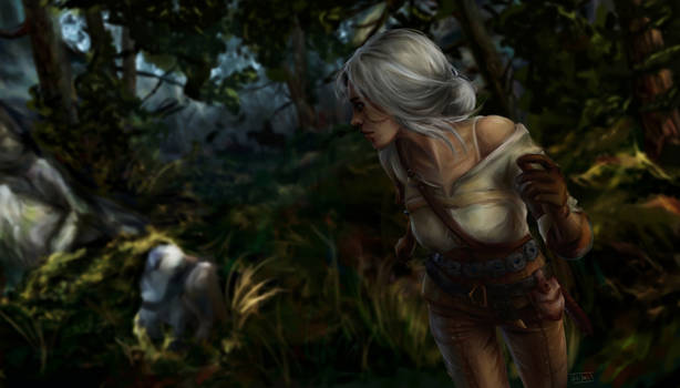 cirilla