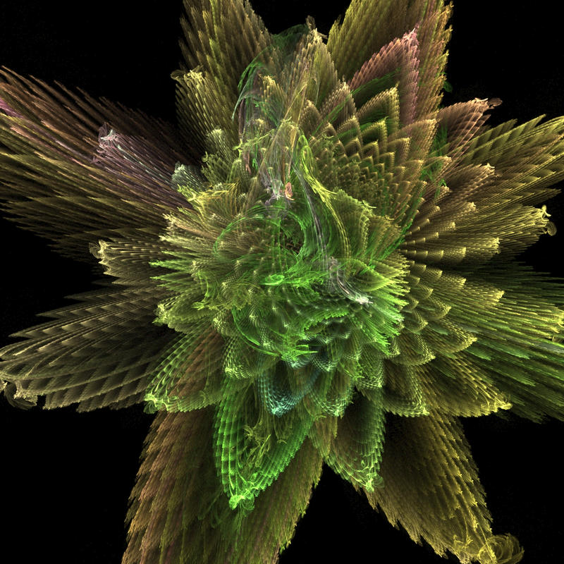A Shrubbery