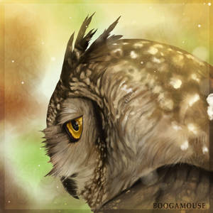 Eagle Owl by wildly-arts