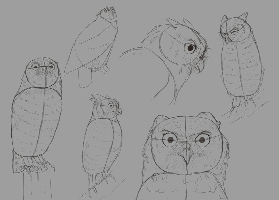 More Owl Sketches by wildly-arts
