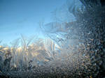 frozen window by Riferthy