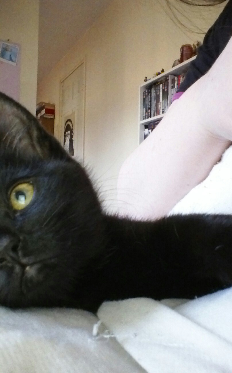 Suki by ShadowEar on DeviantArt